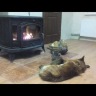 Чугунная печь Kratki Koza/K9